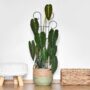 Mini Scroll Pot Trellis – 24″